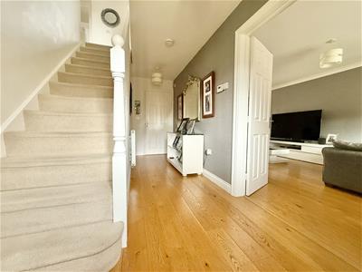 Picture 7